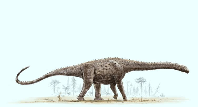 magnetto90's tweet photo. @colossal @C33ORE @JurassicWorld Then... Argentinosaurus https://t.co/HfpWgRaqJn