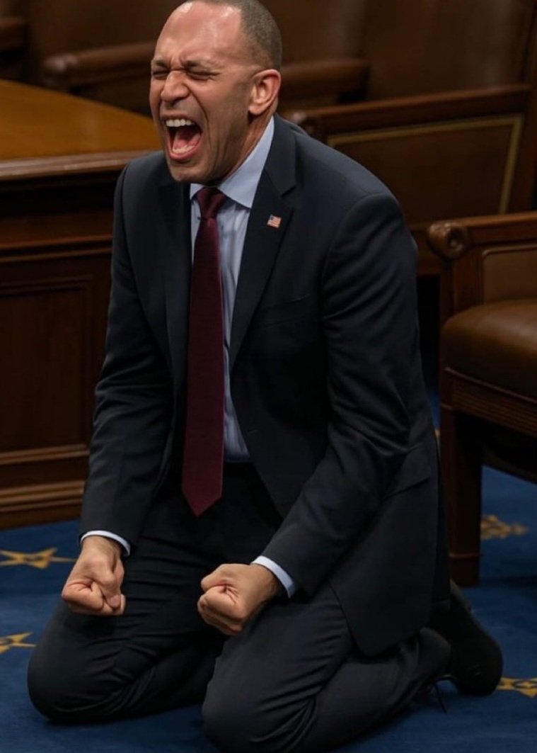 Did all democRATS do this in harmony? 😂🤣😅