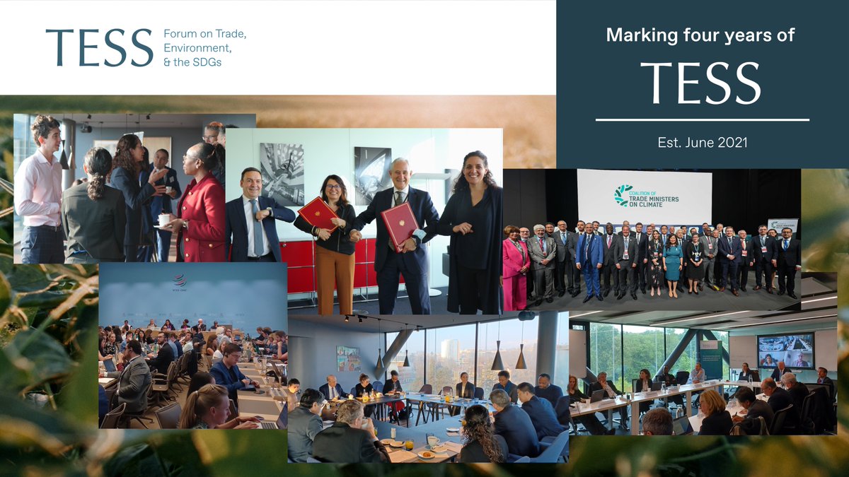 TESSForum's tweet image. 🎉 Marking four years of TESS
As June came to a close, we marked four years since TESS was launched.
TESS was created to foster inclusive international cooperation and action on trade and sustainability. Based in #InternationalGeneva, we set out to support multilateral…