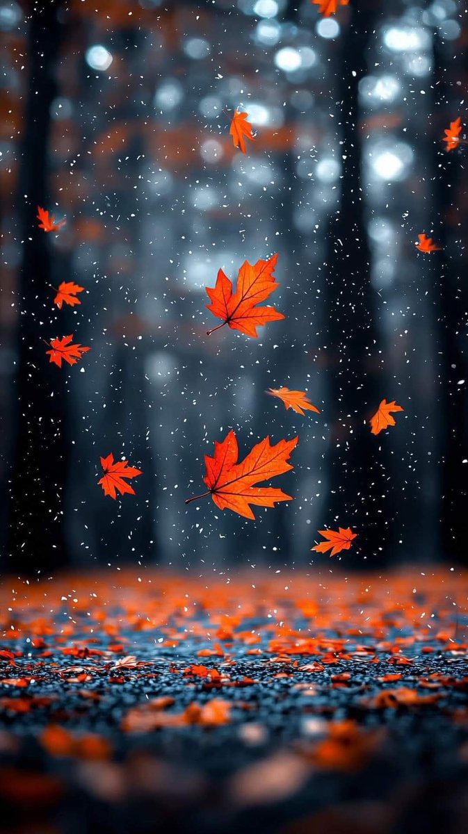 عش حياتك🌱 بهدوء فكل لحظه 🍃
⚘️تذهب منك يصغر عمرك 🍀