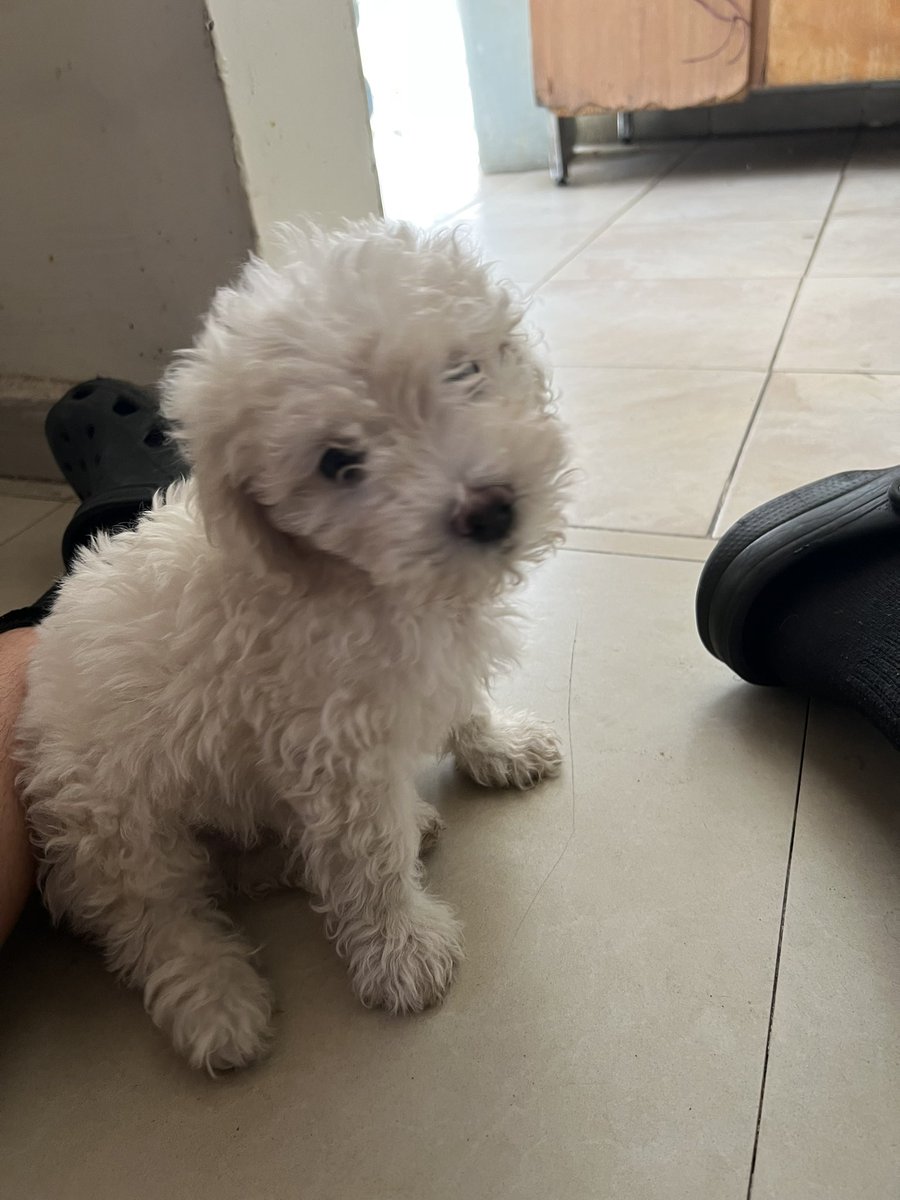 Hectorerecto's tweet image. 