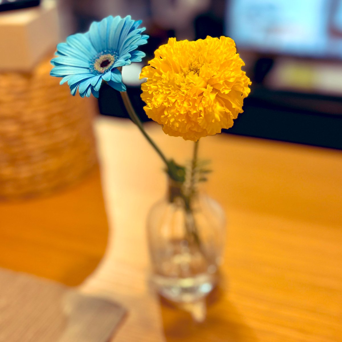 ジンさんの誕生日ということで、ささやかにお祝い。帰りにお花を買ってみた。マリーゴールドの花言葉は「信頼」「変わらぬ愛」だそうです☺︎