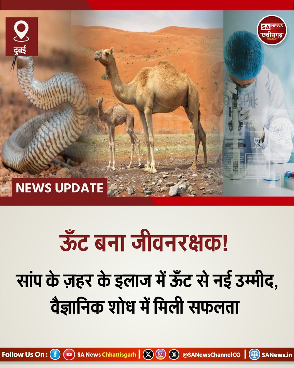 04-07-2025: दुबई से आई बड़ी खबर — ऊँट के आँसुओं में ज़हर का इलाज?

Central Veterinary Research Lab ने दावा किया है कि ऊँट के आँसू में ज़हरीले प्रोटीन को निष्क्रिय करने वाले तत्व पाए गए हैं।
