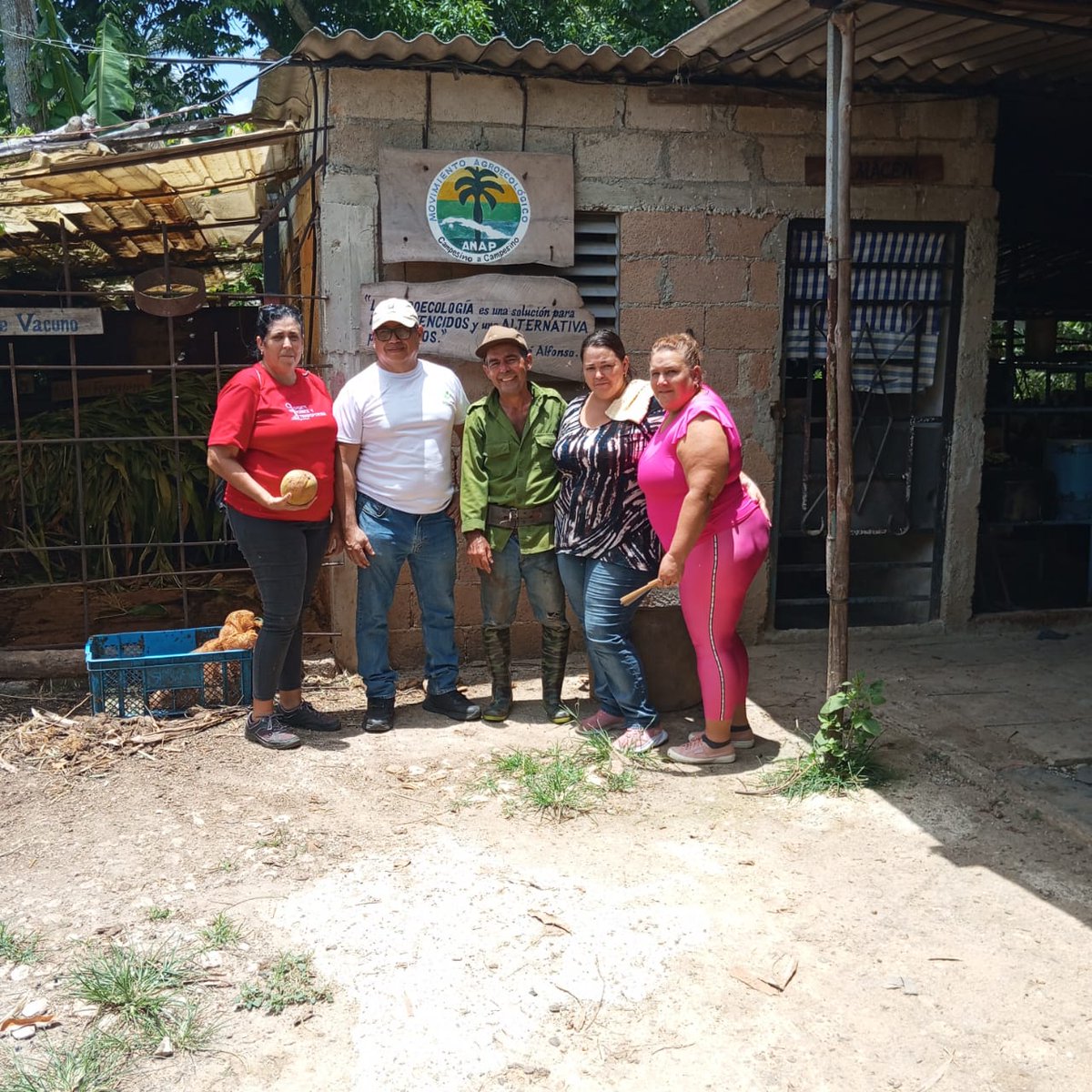 🌱🇵🇦 Como parte de las acciones de la pasantía del estudiante de doctorado Panameño Ing. Alejo Rellan visitó la Finca Agroecológica Alborrego del municipio Cotorro, del productor y estudiante de la maestría en Agroecología y Agricultura Sostenible José René Alfonso.