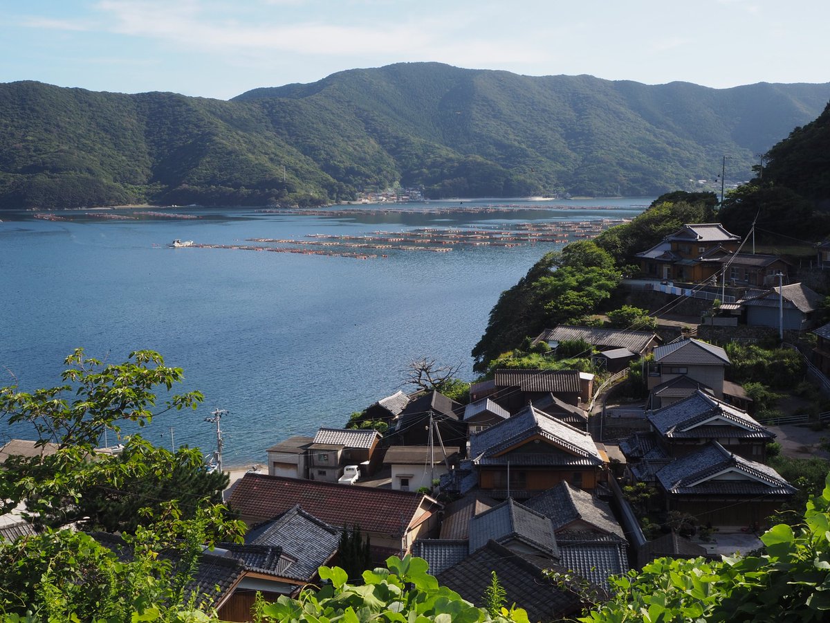 taratara_cod's tweet image. 