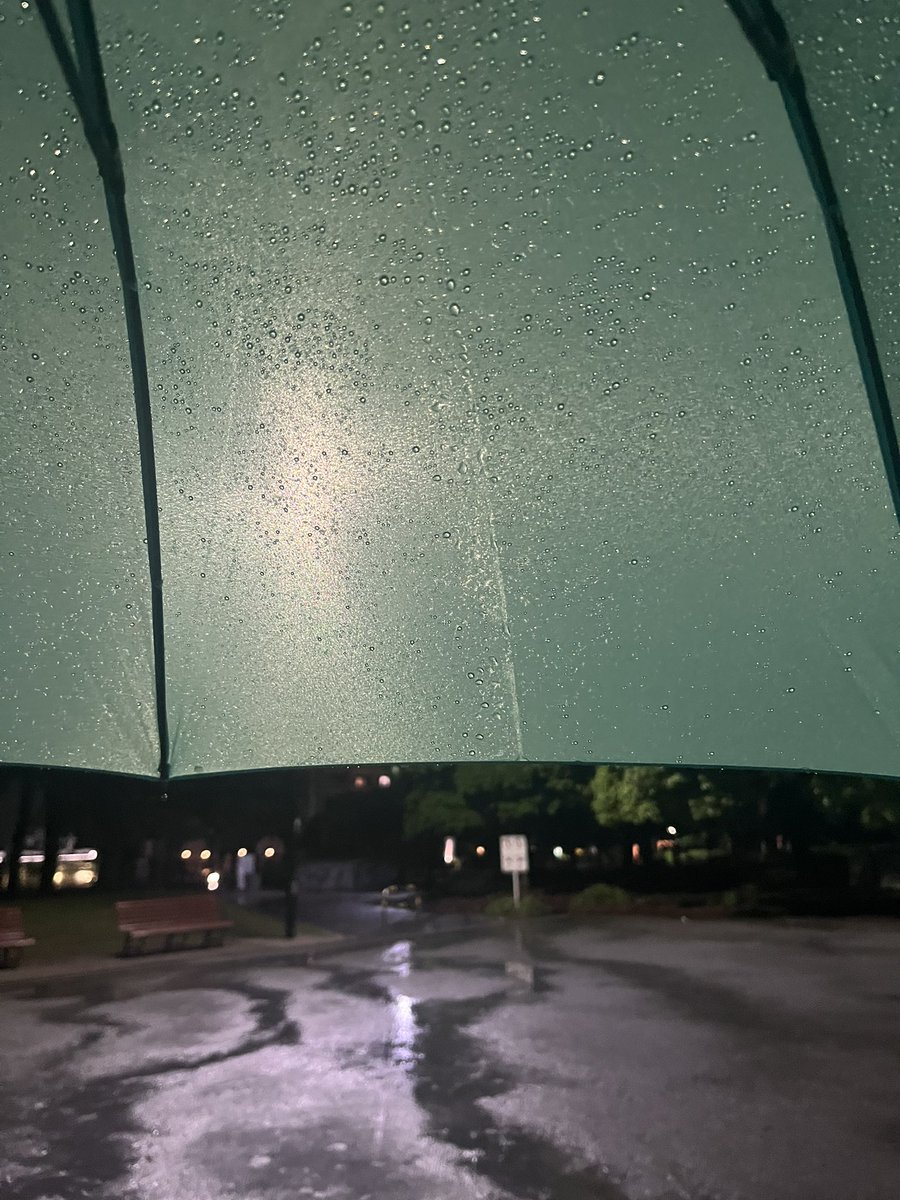 藤井穂/Fujī Mînoru tweet media