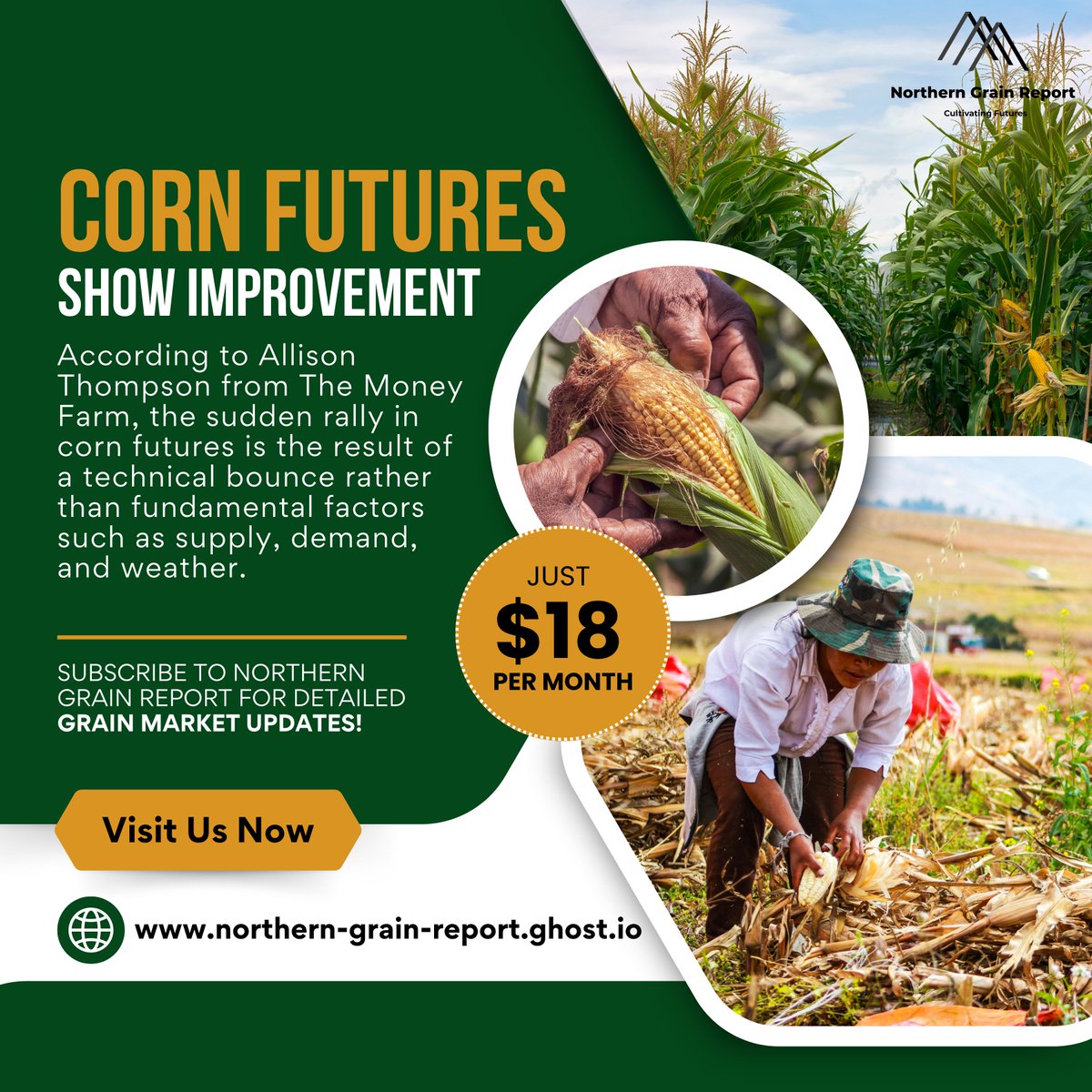 NorthernGrainsR's tweet photo. Corn🌽 future recover after a prolonged implosion. Experts believe this rally is due to some technical factors. These detailed analyses and perspectives are valuable for stakeholders, helping them to make informed decisions and to implement proactive risk management.💹
 
Northern Grain Report offers grain market updates, experts’ opinions, and in-depth research-backed analysis. Make our newsletter your daily read to stay ahead of the grain market.🚜

🌽 Visit Us now: https://t.co/ABuGnHo4wh 🚜

#CornFutures #GrainMarket #AgricultureNews #CornPrices #AgriBusiness #GrainReports #MarketInsights #CornMarket #AgTech #AgriExperts #CropMarket #NorthernGrainReport