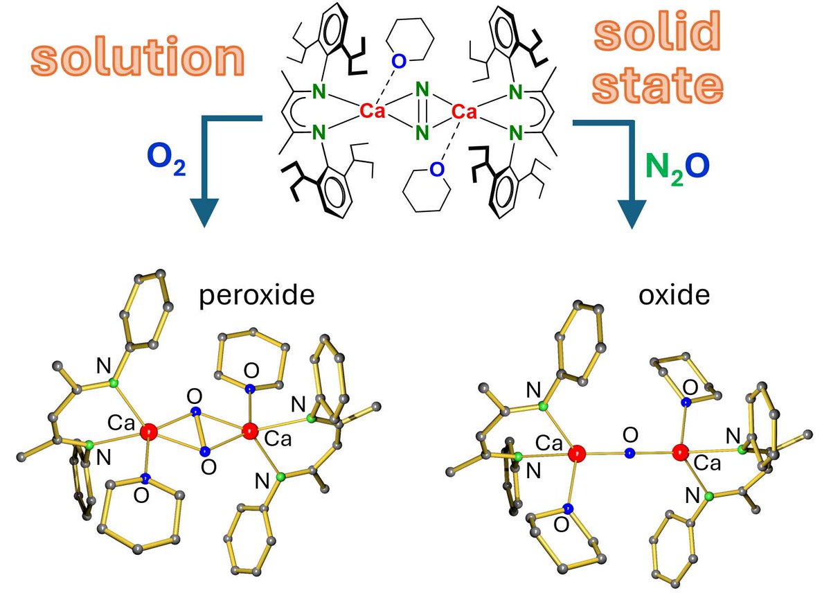 Harder-Research (@harder_research) on Twitter photo A Ca(I) synthon with bridging N2 is key to the synthesis of homometallic Ca peroxide and oxide complexes. In solution, the Ca oxide complex decomposes even at -80 C. It can only be prepared in the solid state. <a href="/ChemCommun/">Chemical Communications</a> <a href="/RoySocChem/">Royal Society of Chemistry</a> shorturl.at/AUoWM A Ca(I) synthon with bridging N2 is key to the synthesis of homometallic Ca peroxide and oxide complexes. In solution, the Ca oxide complex decomposes even at -80 C. It can only be prepared in the solid state. <a href="/ChemCommun/">Chemical Communications</a> <a href="/RoySocChem/">Royal Society of Chemistry</a> shorturl.at/AUoWM