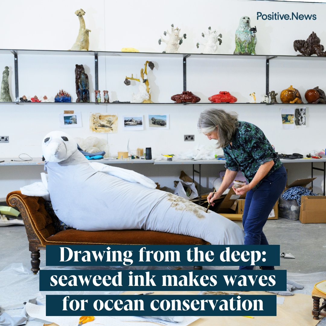 PositiveNewsUK's tweet image. Meet the artists who have been inspired by ink made from seaweed 
positive.news/society/drawin…