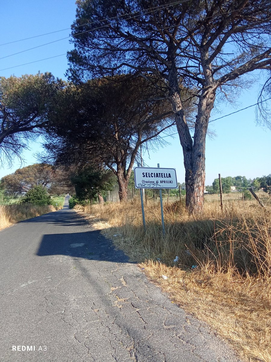 lucananni1010's tweet image. #happyweekendvibes dopo 160 km in mattinata tra agro pontino, castelli romani e monti Prenestini 🚴🌳