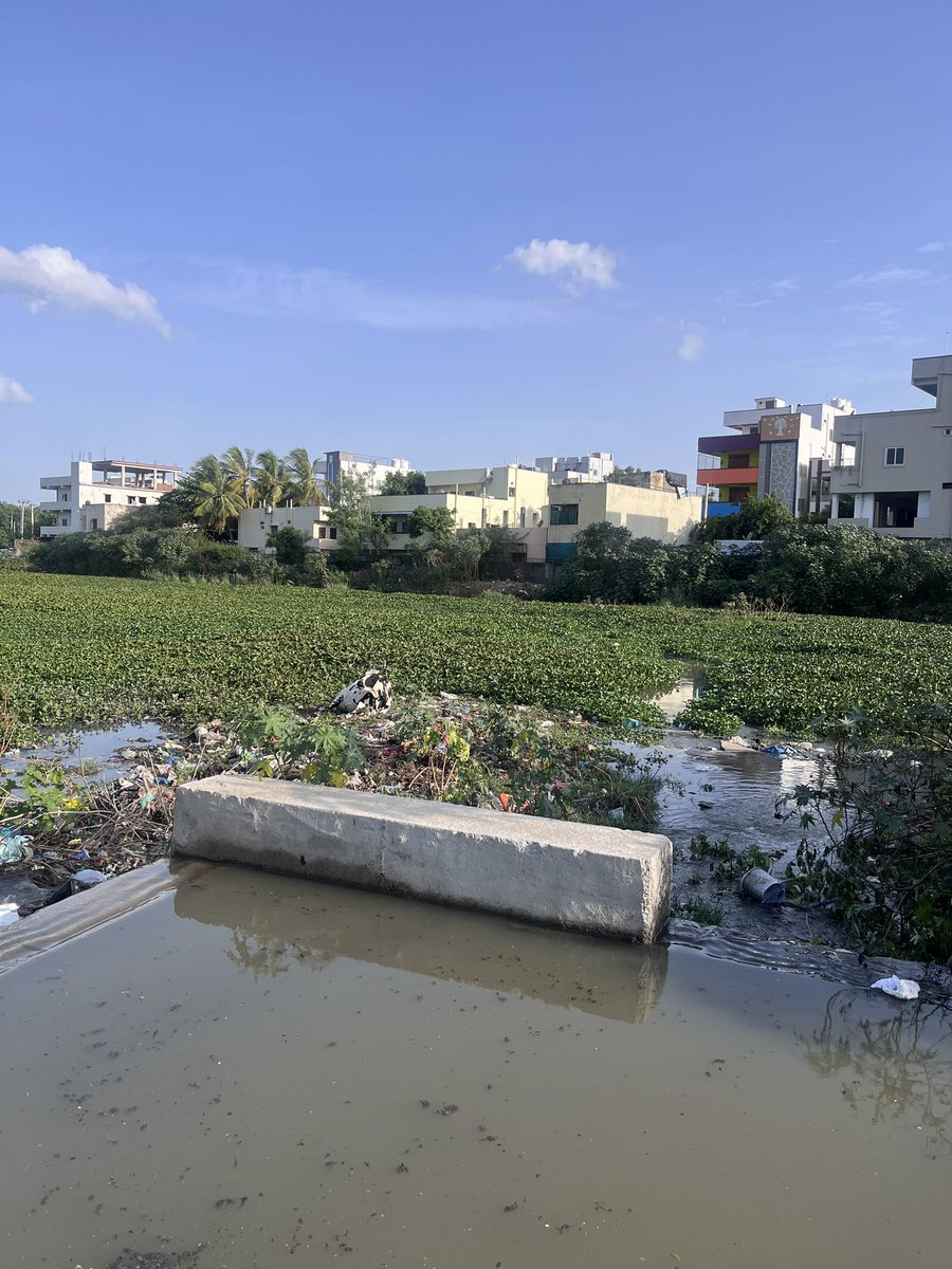 JohnsonHatagle's tweet photo. @GHMCOnline @ee_lakesntd @SELakesGHMC @DC_Malkajgiri @ZC_Secunderabad @ce_ghmc No fence or no sign boards hight risk for people 
 SAVE THIS LAKE. @GHMCOnline @CommissionrGHMC @DC_Malkajgiri @gadwalvijayainc @Collector_HYD @MarriRajasekar @RajyalakshmiBJP https://t.co/J4pAuH9QUk