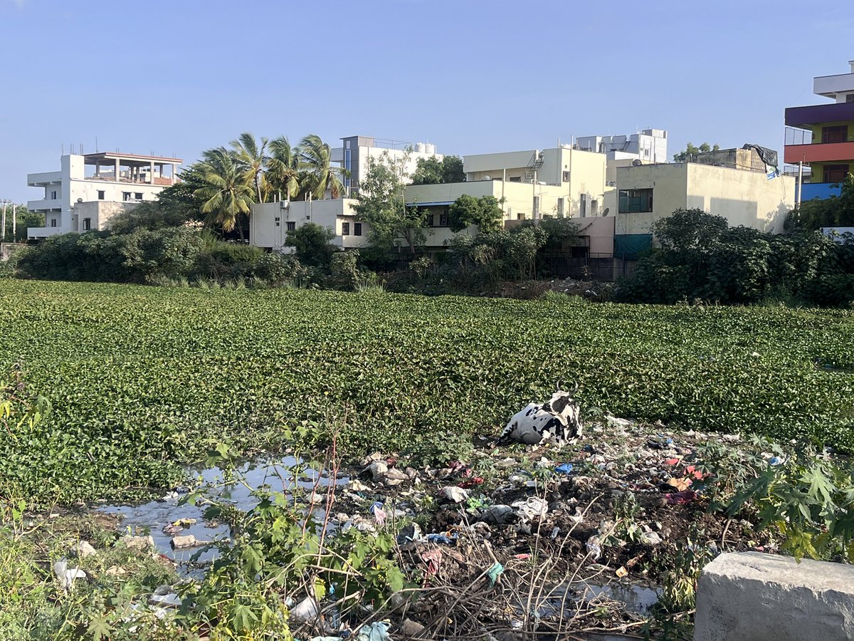 JohnsonHatagle's tweet photo. @GHMCOnline @ee_lakesntd @SELakesGHMC @DC_Malkajgiri @ZC_Secunderabad @ce_ghmc No fence or no sign boards hight risk for people 
 SAVE THIS LAKE. @GHMCOnline @CommissionrGHMC @DC_Malkajgiri @gadwalvijayainc @Collector_HYD @MarriRajasekar @RajyalakshmiBJP https://t.co/J4pAuH9QUk