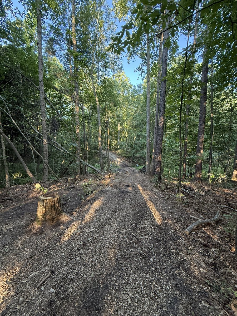 CoachYoungXCTF's tweet image. Happy Independence Day!
As a son of numerous Revolutionary Patriots - I embrace this day! Grateful for my existence!
I’m starting my day off with a little cross country course maintenance. It’s beautiful out here… 🇺🇸 #CloverXC