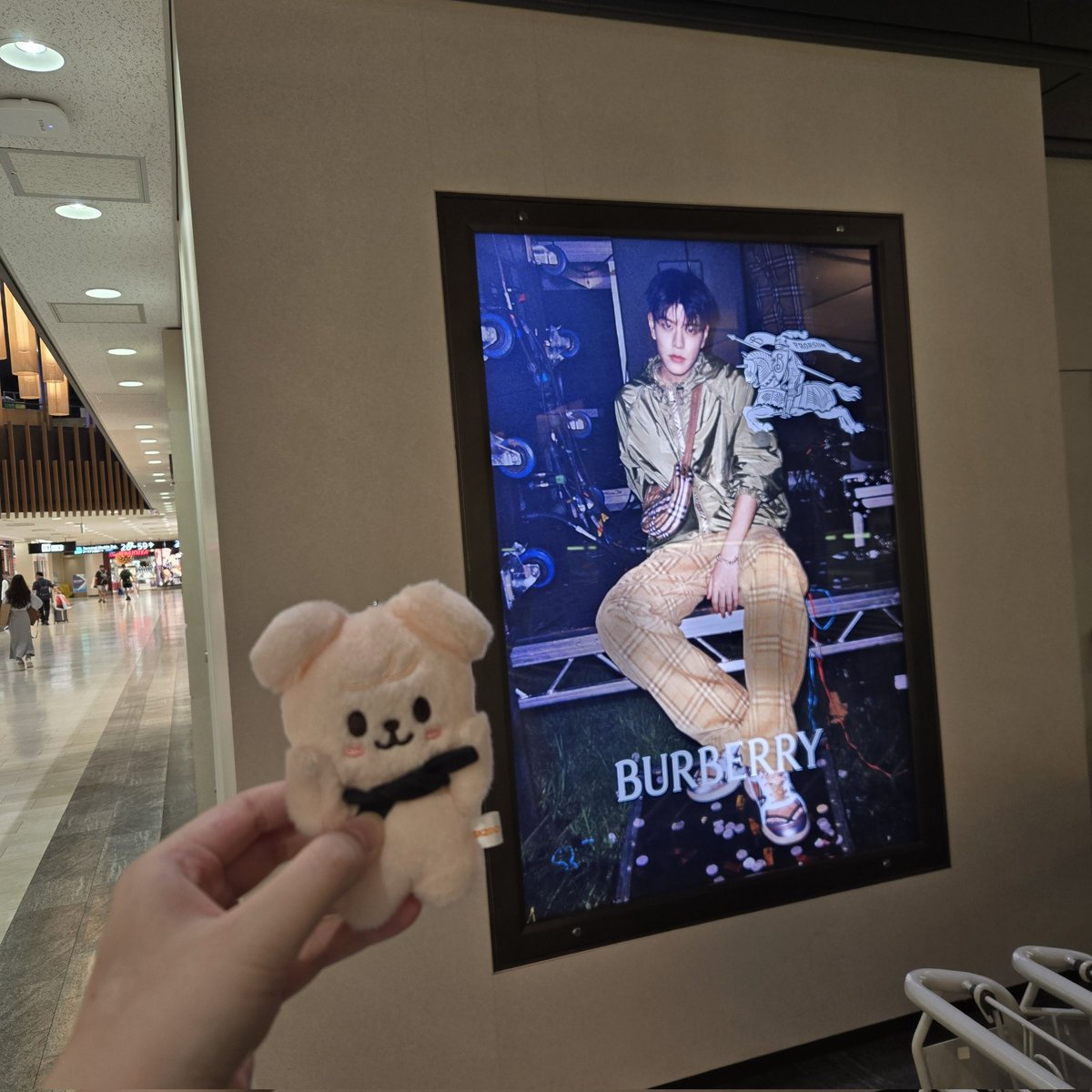 Helen030111's tweet photo. 成田空港でスンミンさん発見🐕 https://t.co/8JR0ffpo8t