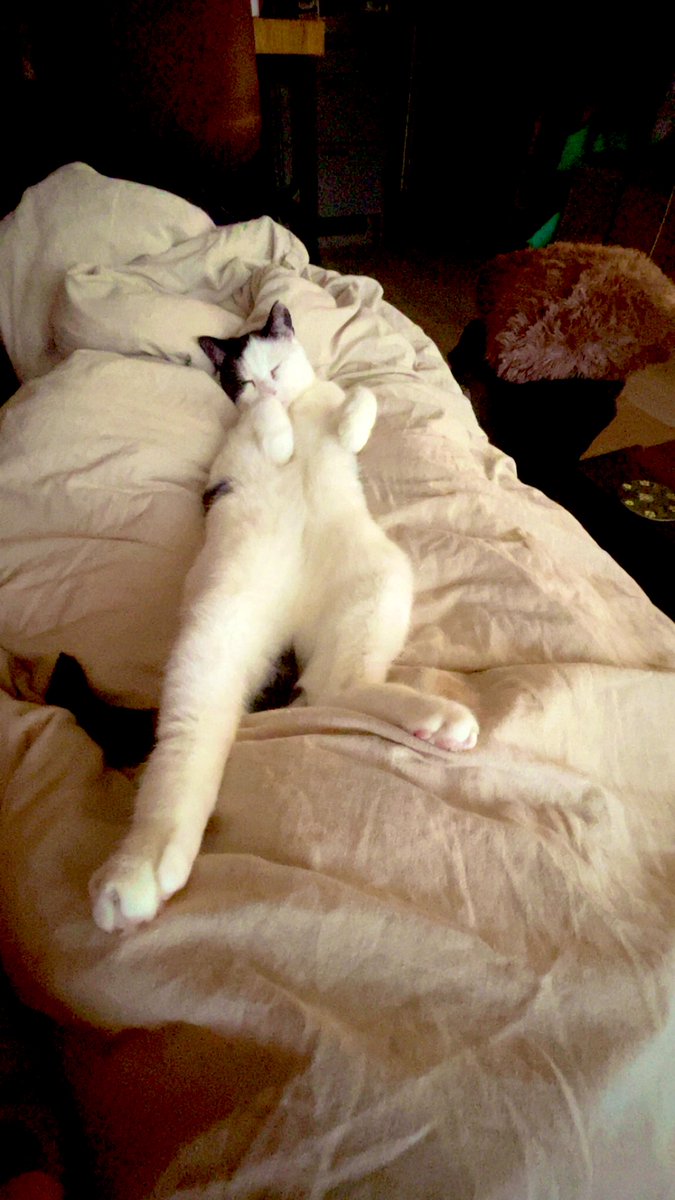 Ida Charlotte👋🏼 tweet media