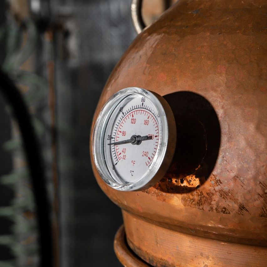 Colonsay Gin is more than a drink. It’s the spirit of an island, distilled.

#colonsaygin #tighnauruisg #islandcrafted #juniperforward #scottishsmallbatch #alvawasthere