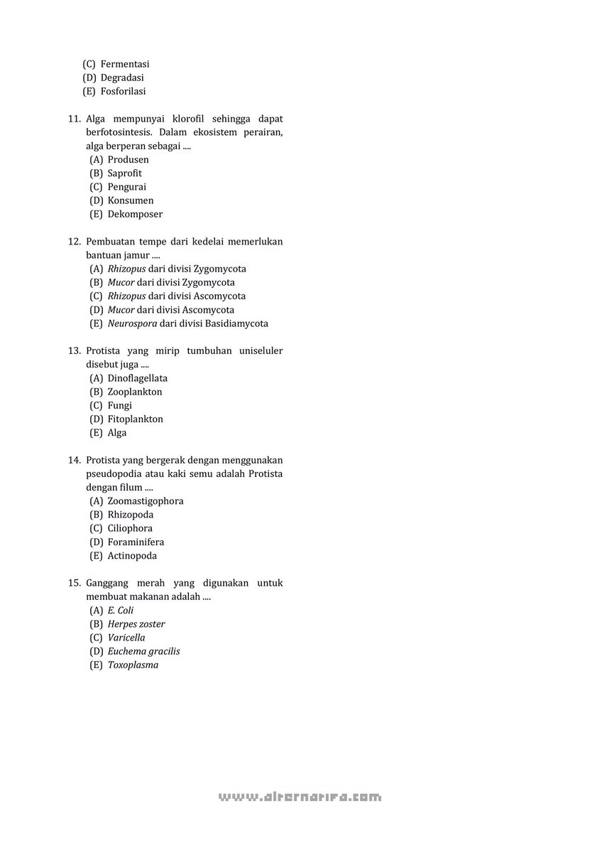 studywithbloom's tweet image. ⋆˚꩜｡LATSOL TKA BIOLOGI
✮ | bab 2 |

📚 SOAL: PROTISTA

sc: alternatifa
#studywithbloom jejak💌

#studytwt #snbt2026 #AMBISVERSE