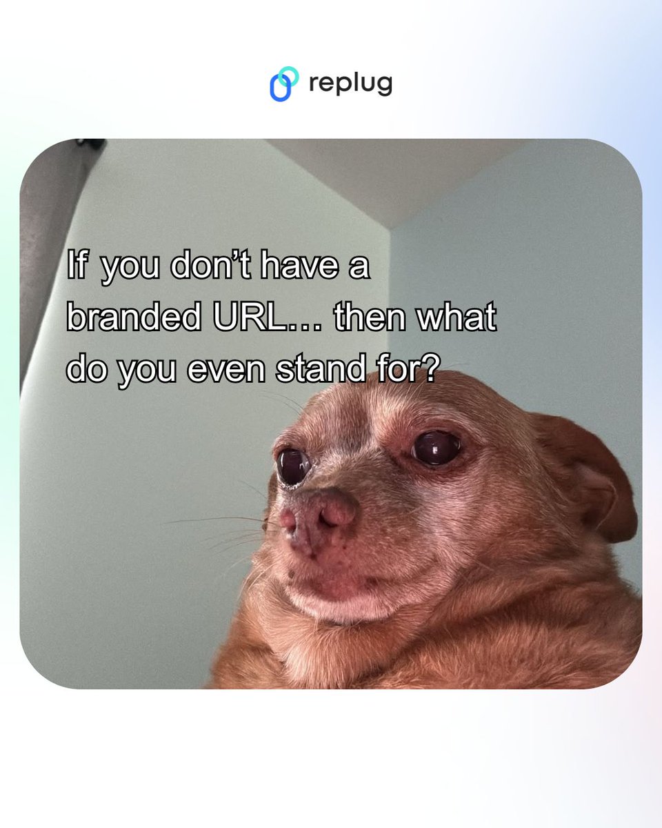 Replug.io tweet media