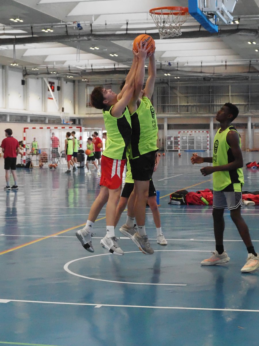 Federación Navarra de Baloncesto tweet media