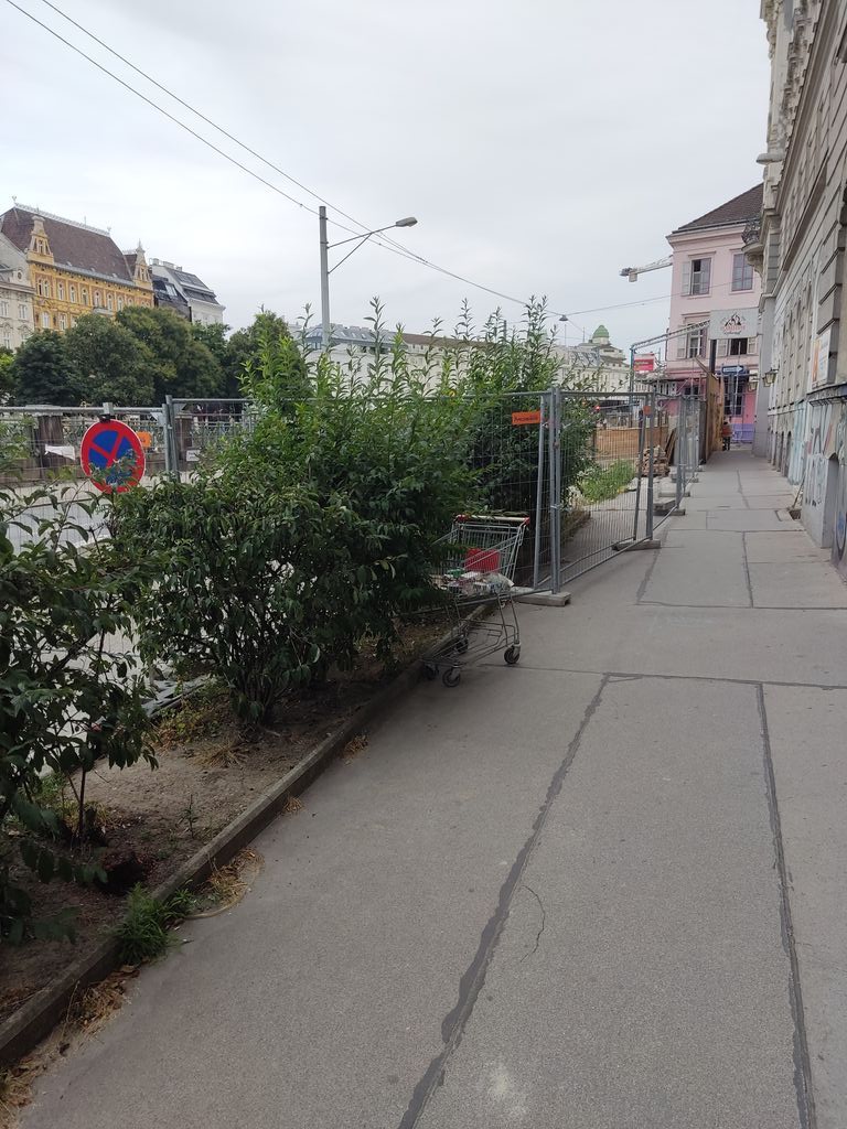 #Einkaufswagenkunst 1060 #Wien Linke Wienzeile