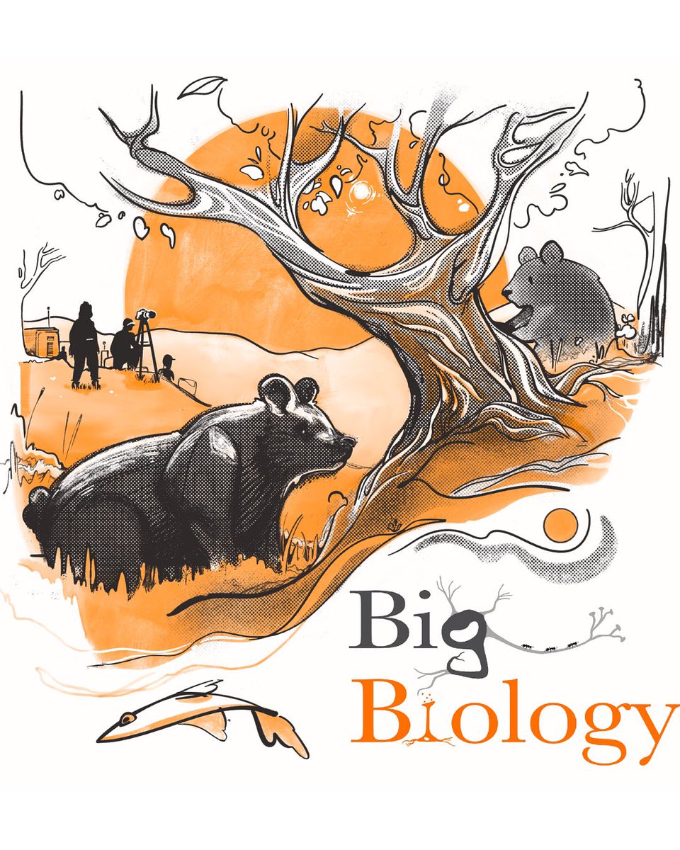 Big_Biology's tweet image. 🐾 The Call of the Wild (ep. 136 🐾 OUT NOW!
Hear how storytelling plays a vital role in conservation efforts and inspiring future generations of scientists with Dr. Rae Wynn Grant!
Tune in wherever you get your podcasts!
@raewynngrant @wildkingdomtv
Cover Art: @KorionArt
