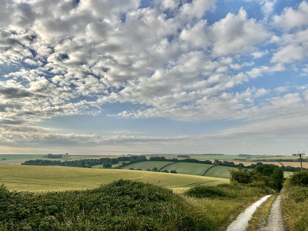 WeatherWolds's tweet image. Morning Chalk Lanes. 18°C and breezy. Swifts.