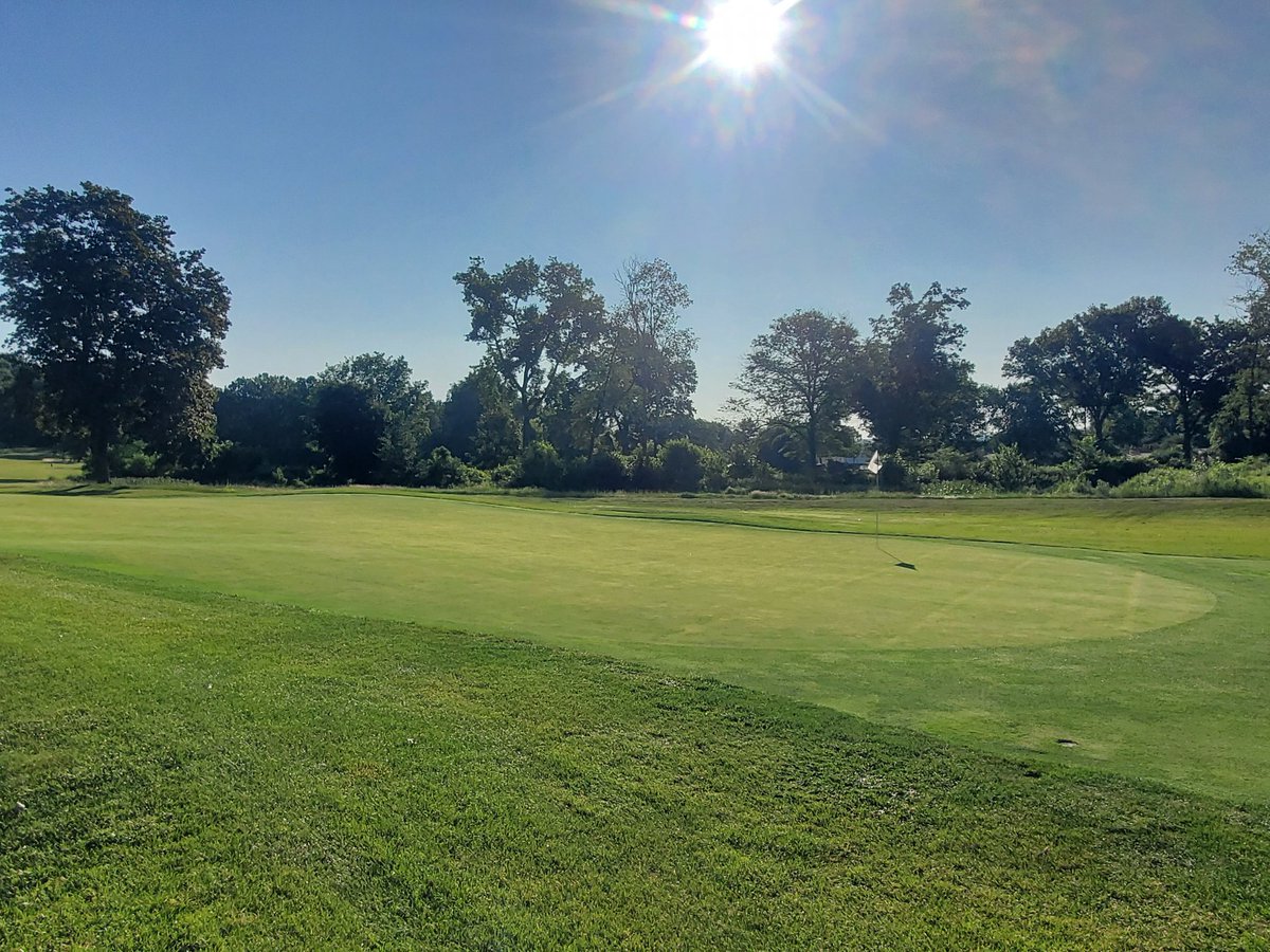 #6 green last year the first week in July at 8:00 AM compared to this year at the same time. Much improved turf health by getting rid of a POS cherry tree!
