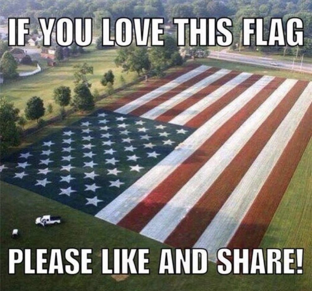 I absolutely love this flag. 🇺🇸🇺🇸🇺🇸