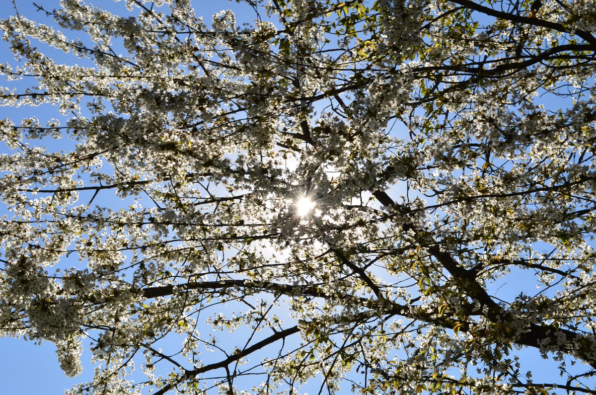 Happy 4th of July‼️ 🇺🇲  🎆  🎇