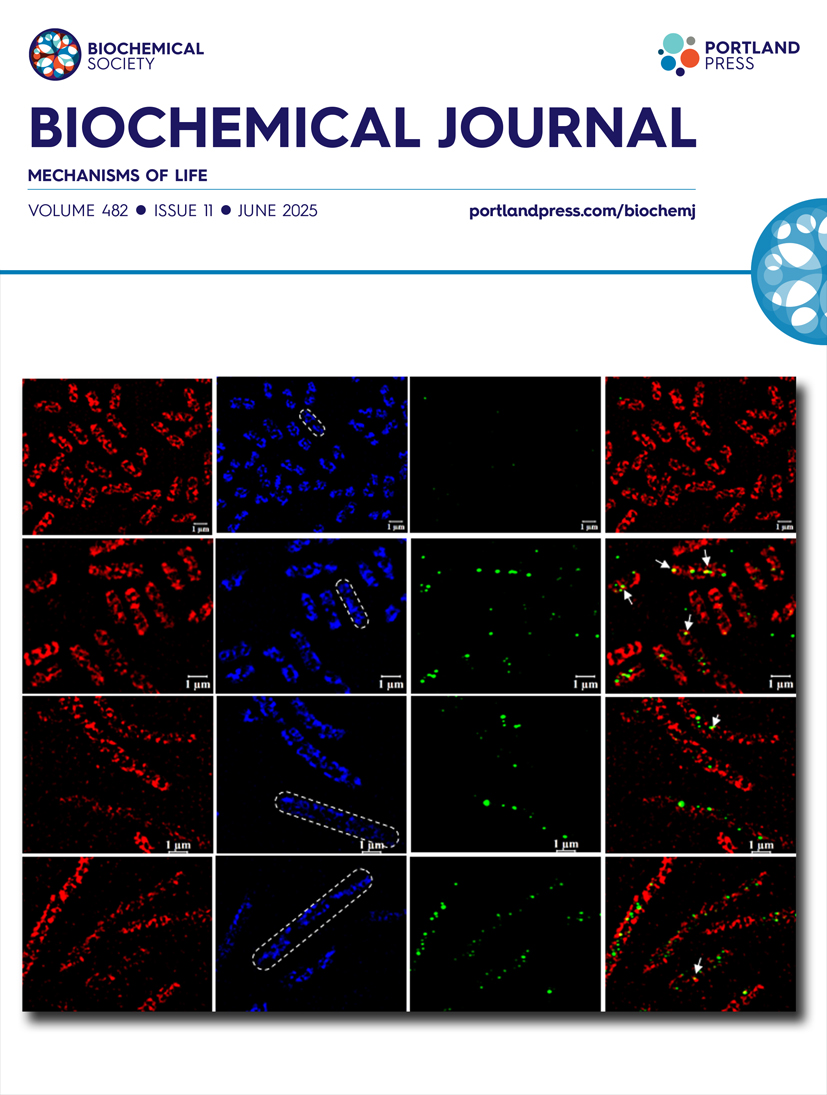 Biochem_Journal's tweet image. Are you interested in the underlying molecular mechanisms of life? Explore the latest completed issue of the Biochemical Journal which delves into the newest developments in this exciting area! ow.ly/3JiA50Wi4Qc