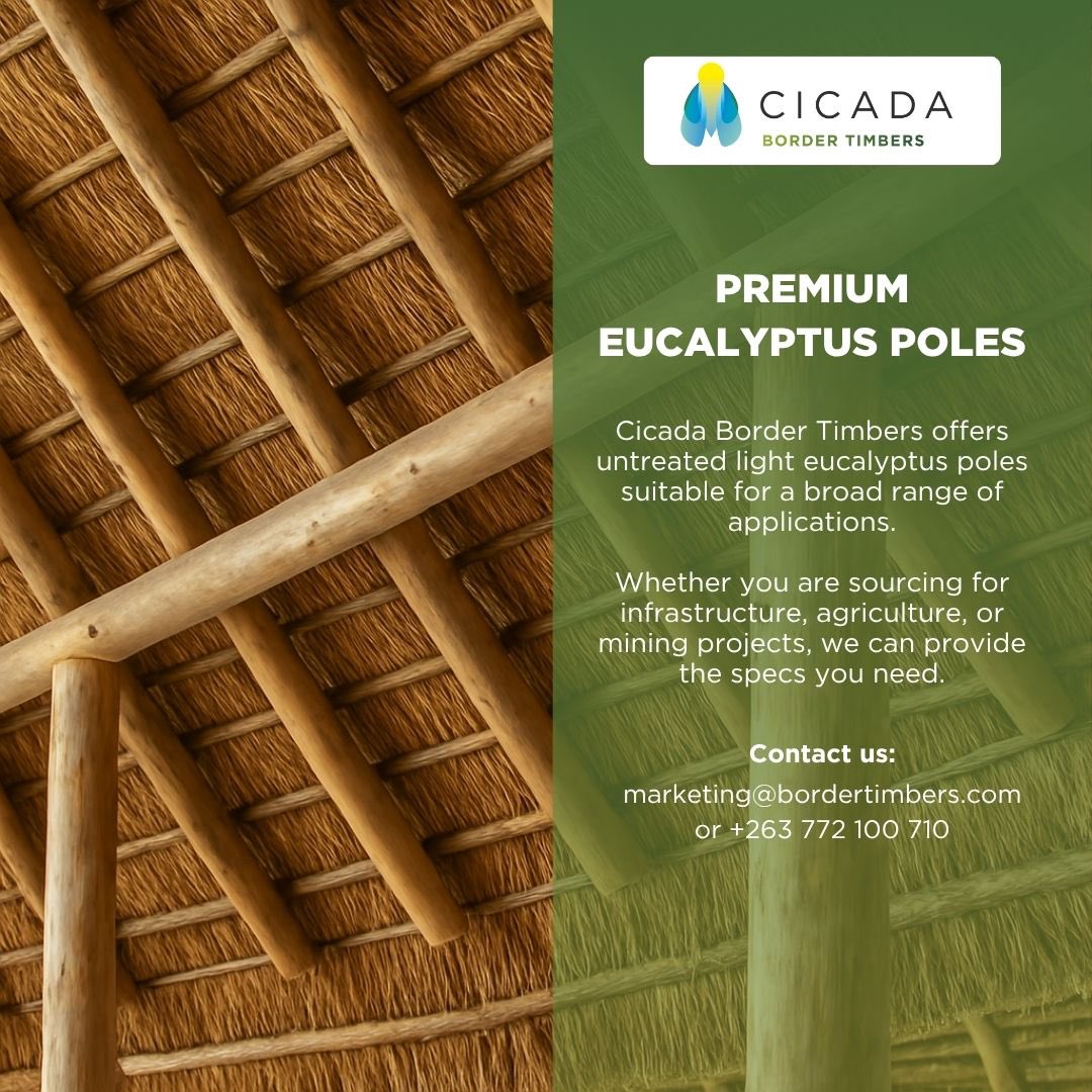 Are you in need of eucalyptus light poles? 🪵 

Cicada Border Timbers offers a range of sizes suitable for fencing, roofing, constructing, or reinforcing. Our eucalyptus light poles offer strength, sustainability, and long-term durability.

Get in touch with us today!