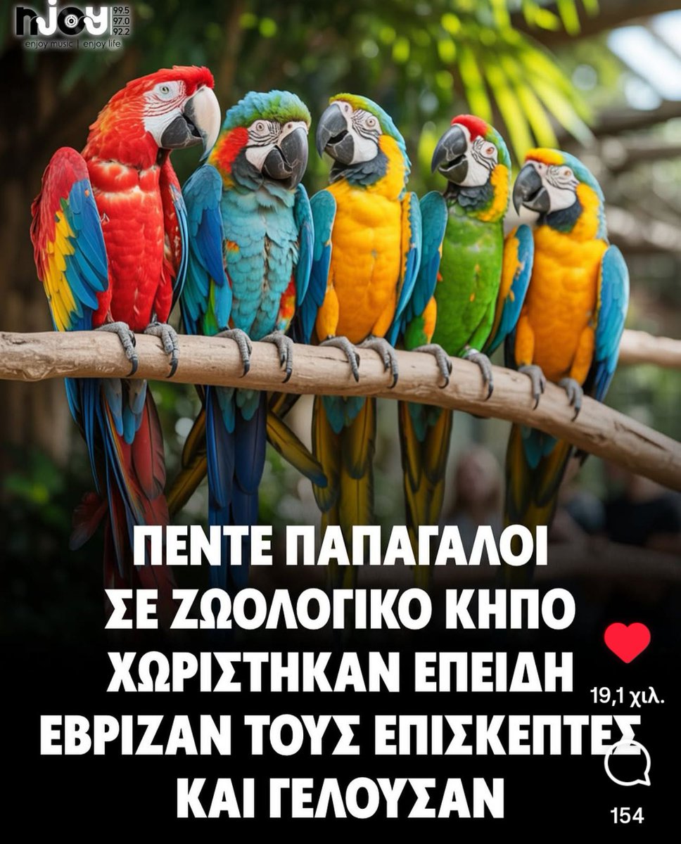 JimmyMcGill666's tweet image. Αυτούς τους παπαγάλους τους αγαπώ!!