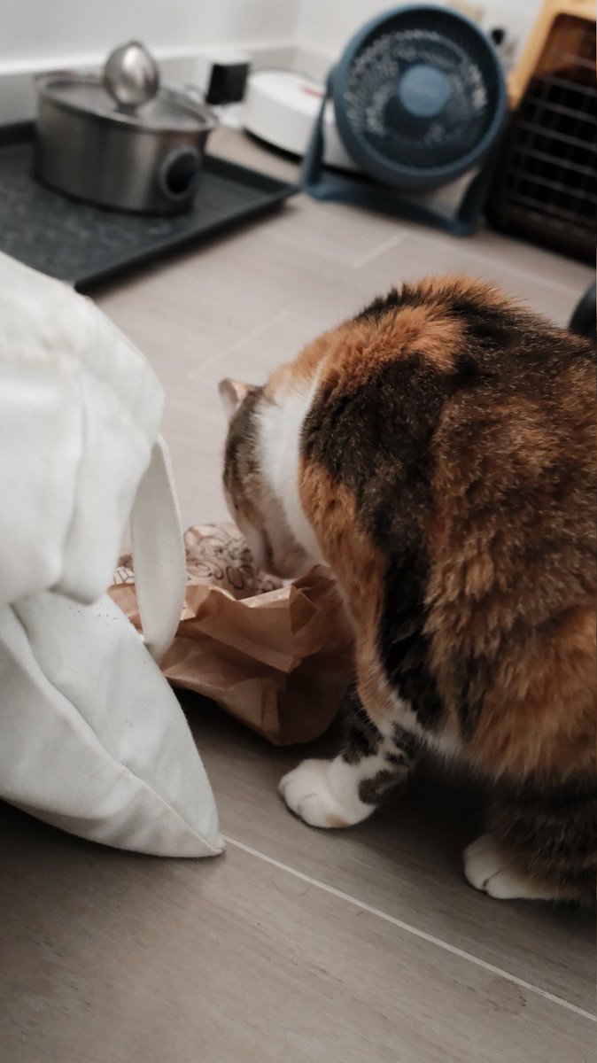 Pruebas de que es una ladrona!!!