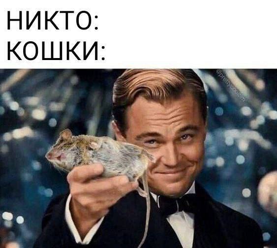 Дантес (@dantesdmitriy) on Twitter photo 