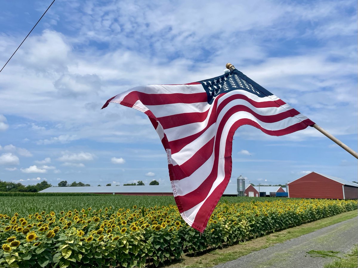 Today, we celebrate the freedom, resilience, and hard work that define our country—and our farmers. From fields to fireworks, we’re proud to support the families who help feed our nation every day. 

Wishing you a safe and joyful #IndependenceDay! 🇺🇸