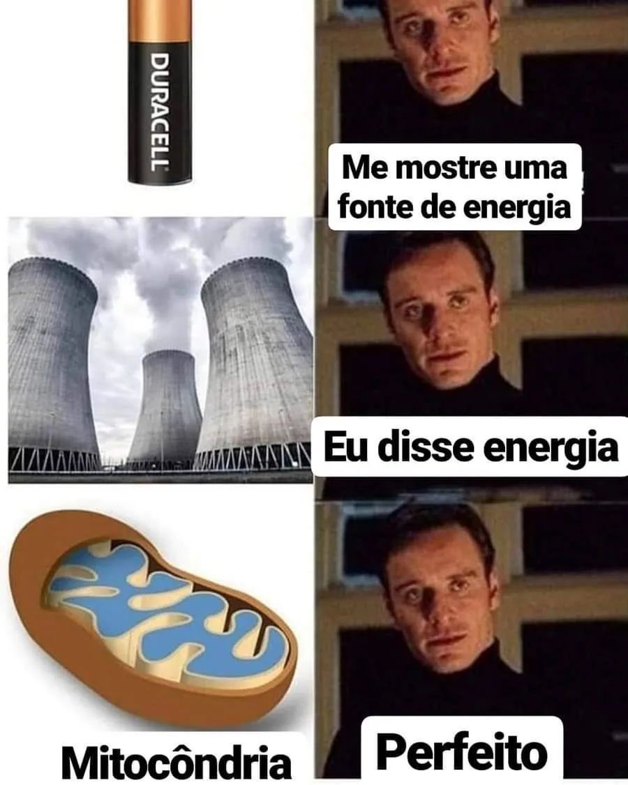 Biologia Braba (@biologia_braba) on Twitter photo 