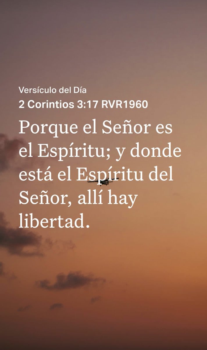 Mejoradas's tweet photo. https://t.co/mfR9O8MivL