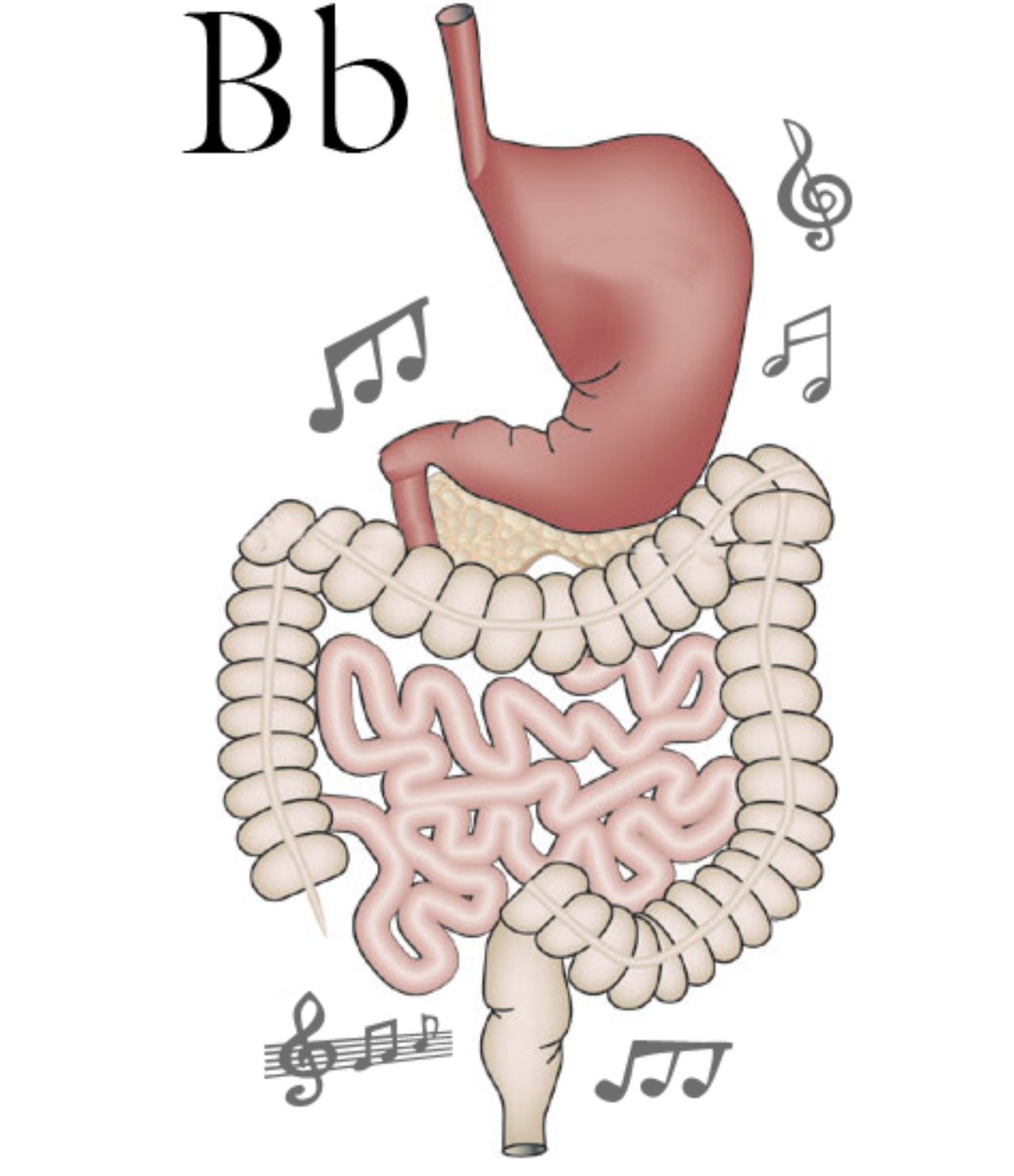 DrSamuelBHume's tweet photo. If you study medicine, you learn about 10,000 new words

Here are some of my favourites

1. Borborygmus – a rumbly tummy https://t.co/qmng0Hi0Ua