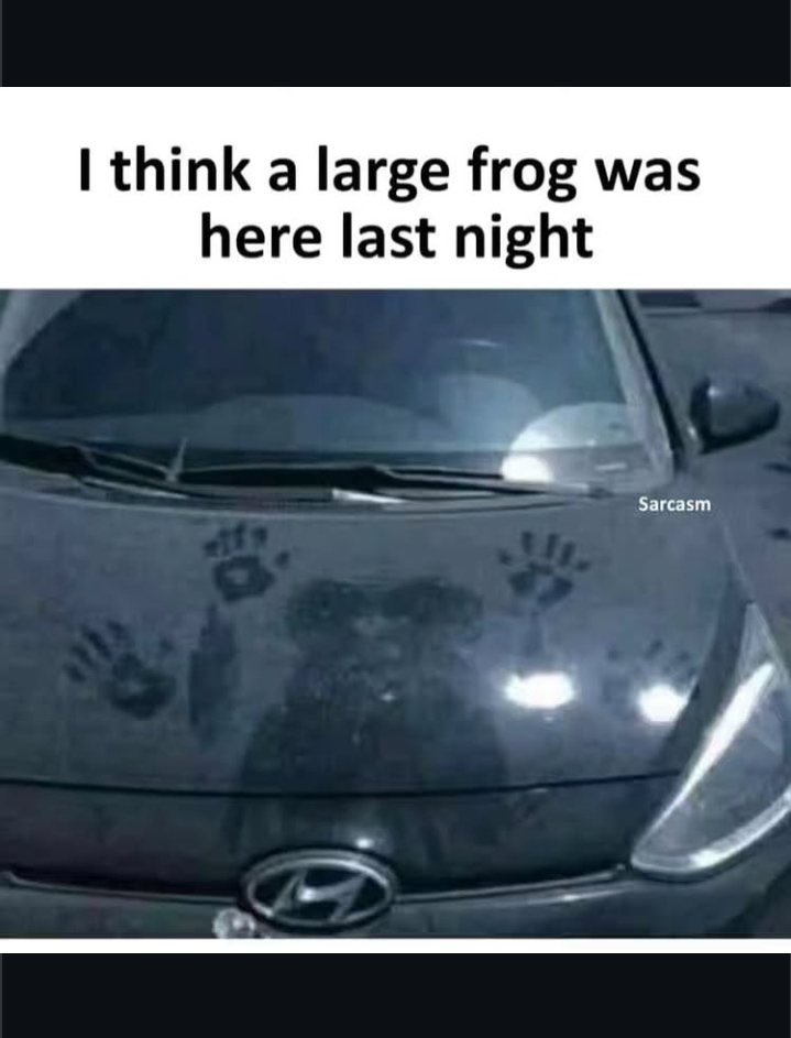 Island frogs enh 🤦🏾
