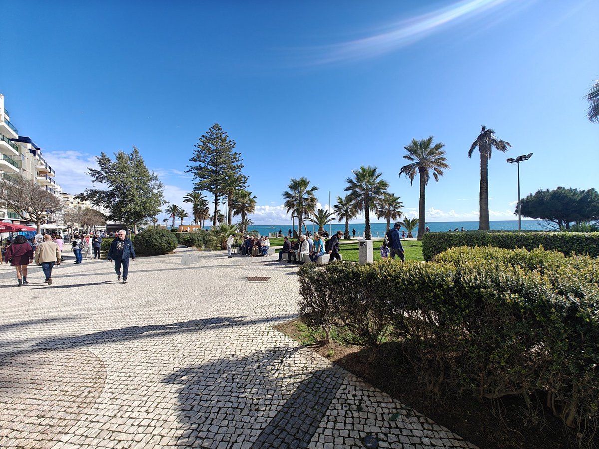 Crypto Nova tweet media