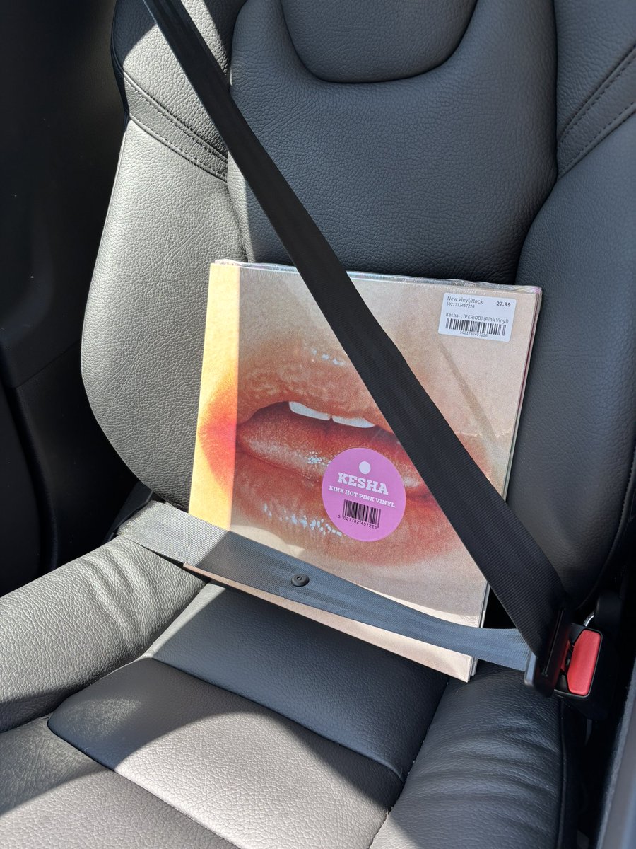 keep your <a href="/KeshaRose/">kesha</a> vinyl safe this holiday weekend