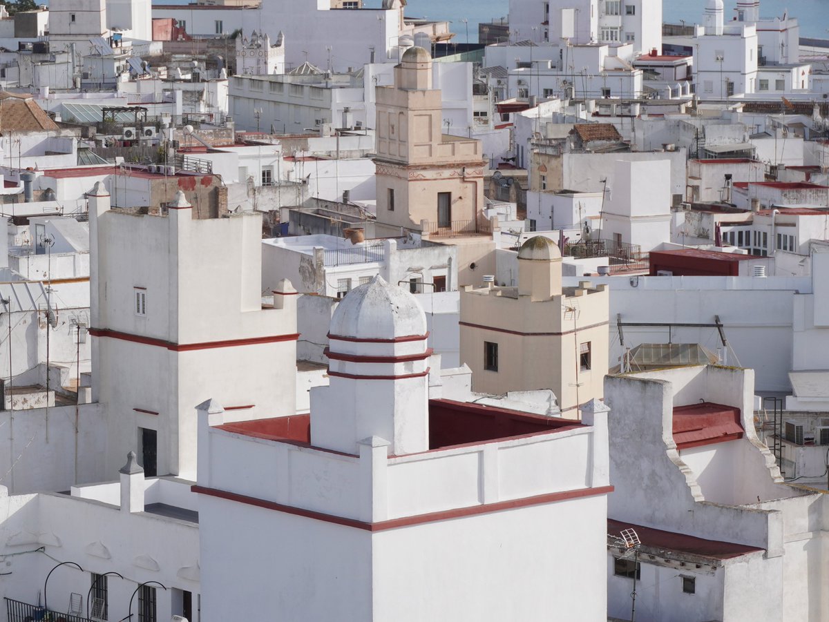 ¡ATENCIÓN PREGUNTA!
Para l@s erudit@s del lugar... ¿cuántos tipos de Torre Mirador identificas en esta fotografía?
3, 2, 1... ¡¡RESPONDAN!!!
#VamosAJugar #TorresMiradoresDeCádiz