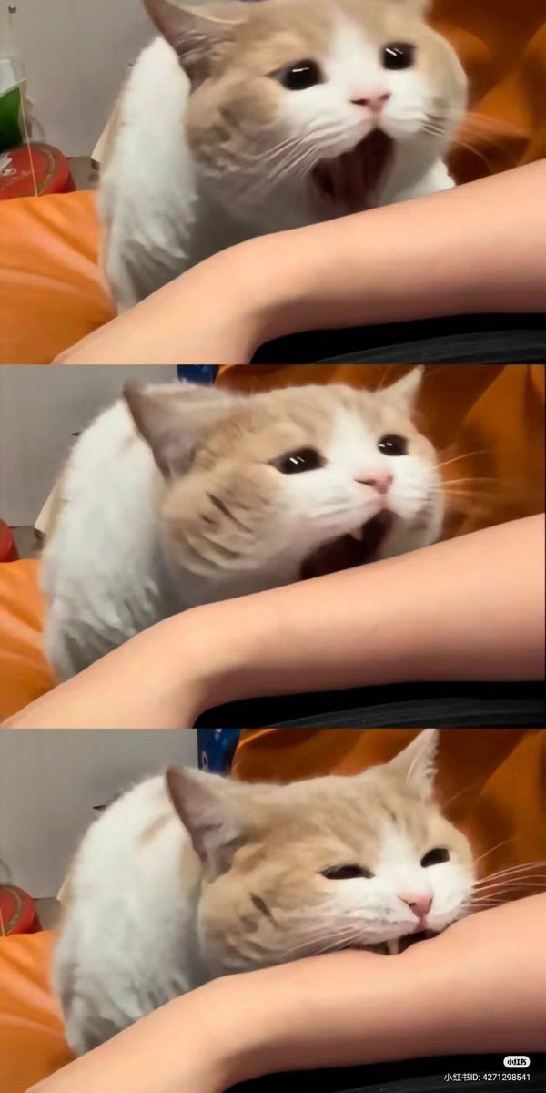 好きだから噛みつく事もある。