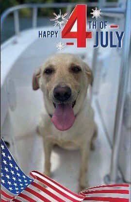 SenRussellOtt's tweet image. Have a great weekend and be safe!
