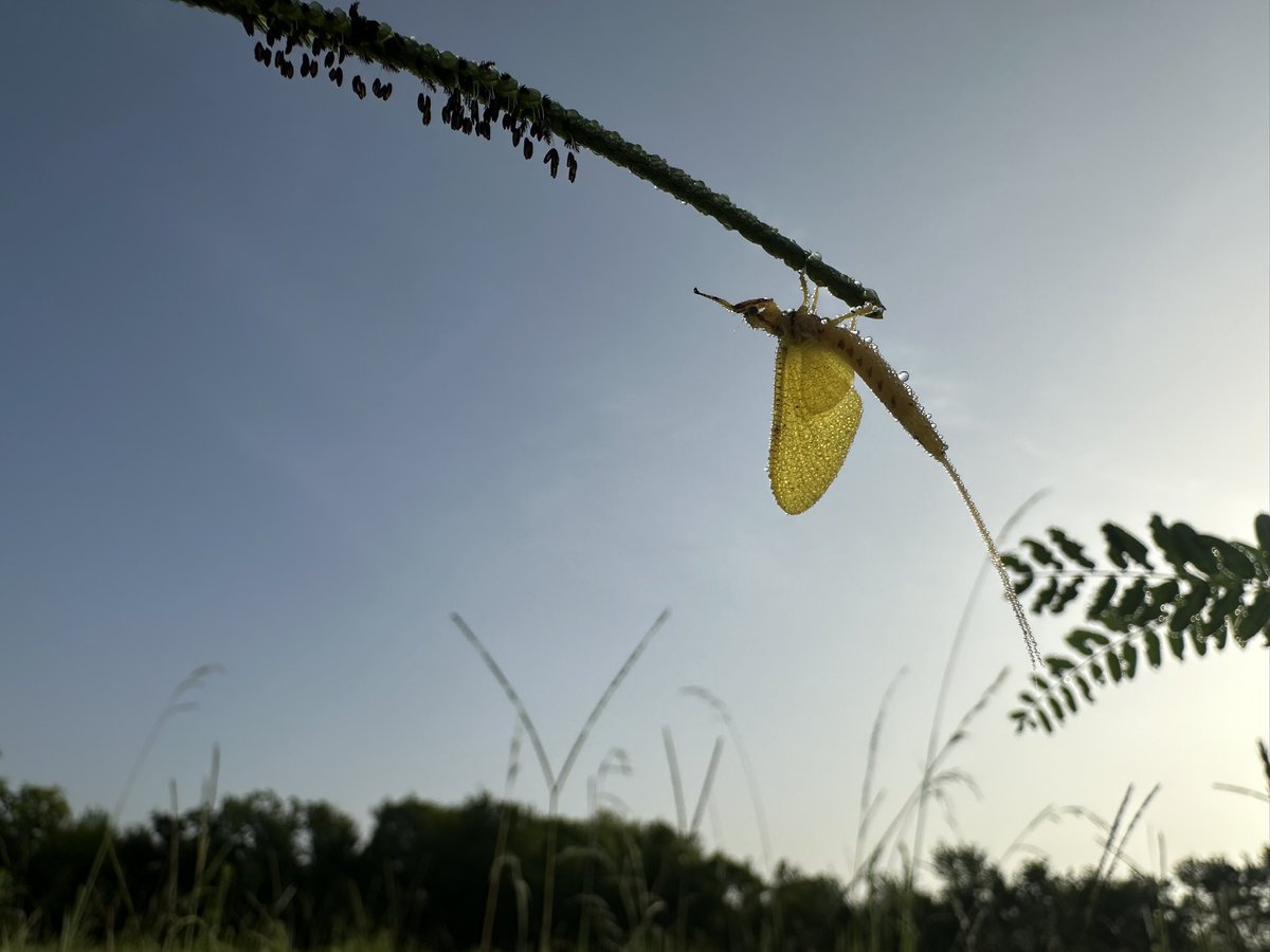 It might all be a little upside down, but we’re still holding on.