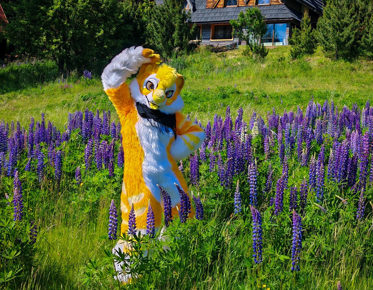 Hey! Hope you're enjoying #FursuitFriday 🪻🐯🪻

#fursuit #tigerfursuit #bigcatenergy