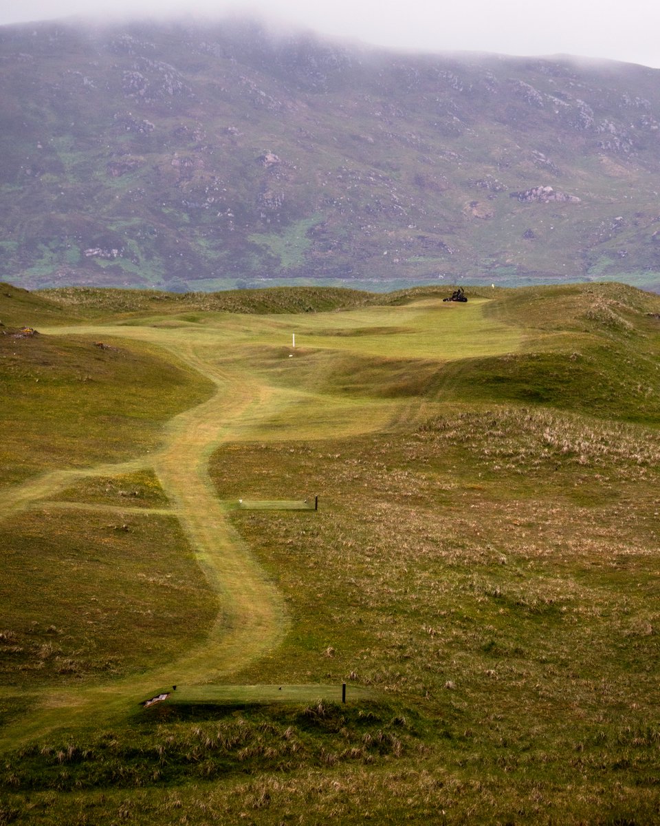 Cookie Jar Golf tweet media