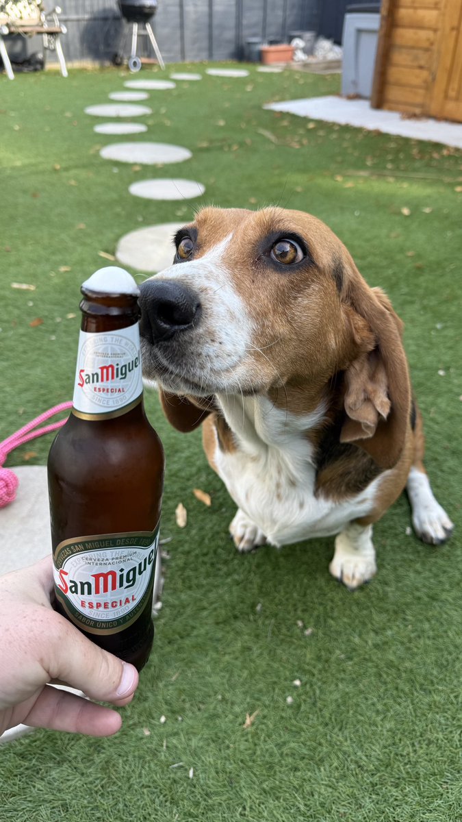 <a href="/RainesMatt/">Matt Raines</a> <a href="/MSidgwick/">Sidgwick</a> <a href="/MichaelHamflett/">Michael Hamflett</a> <a href="/PhilMyChambers/">Phil Chambers</a> <a href="/Eroc11788/">Meatball</a> <a href="/culturedleftpeg/">Andrew Pollard</a> <a href="/frasier_cranium/">Frasier Cranium</a> <a href="/chefcub69/">Jacob Mendros</a> <a href="/Wrongfunction/">Jon Harrison</a> <a href="/ScottCarlson123/">Scott Carlson</a> <a href="/PoeticCell/">Marcel Laviolette</a> Happy MERICA day!