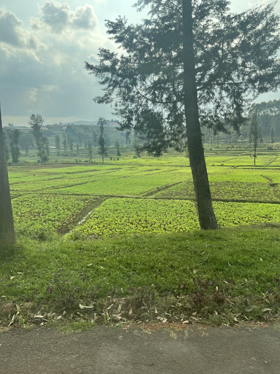 May the wish of all farmers comes true 🌾👩‍🌾