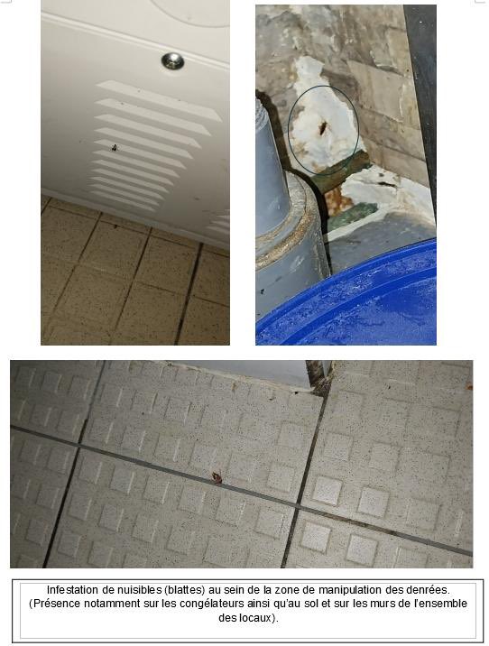 Prefet95's tweet image. 🔴 #santé | Fermeture administrative décidée par @prefet95 de l'établissement « Le must chicken » situé 14 bis, Cours des Merveilles à Cergy.

❌ Denrées conservées dans des conditions inadéquates 
❌ Présence de nuisibles
❌ Traçabilité des denrées non assurée 
❌ Locaux,…